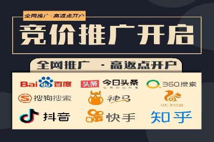 竞价广告在XX行业的成功应用案例